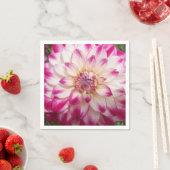 Beaux Servetten (Insitu)