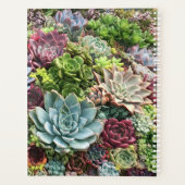 Beaux succulents (Dos)