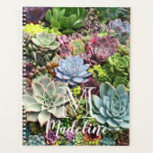 Beaux succulents (Devant)