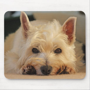 Beaux tapis de souris de chien de Westie/tapis de