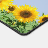 Beaux Tournesols sur Fond Bleu Ciel (Coin)