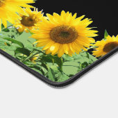 Beaux Tournesols sur Fond Noir (Coin)