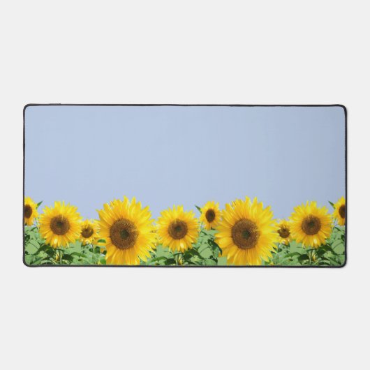 Beaux tournesols sur Sky Blue (Recto)