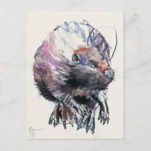 Beaver 2001 briefkaart