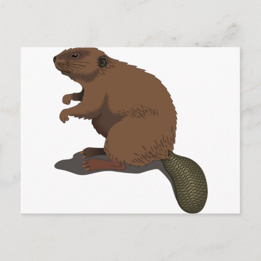 Beaver Briefkaart (Voorkant)