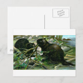 Beaver Briefkaart (Voorkant / Achterkant)