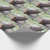 Beaver Cadeaupapier (Hoek)