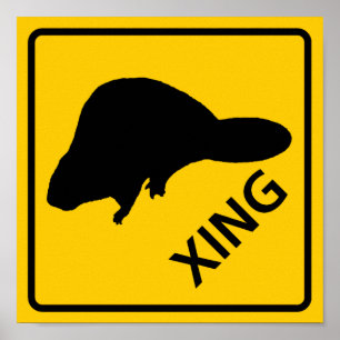 Beaver Crossing Highway Sign Poster