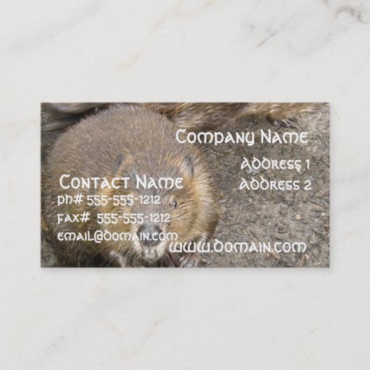 Beaver Design Visitekaartje (Voorkant)