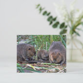 Beaver-familie Briefkaart (Staand voorkant)