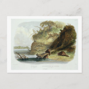 Beaver Hut op de Missouri, bord 17 van deel 1 Briefkaart