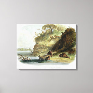Beaver Hut op de Missouri, bord 17 van deel 1 Canvas Afdruk