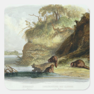 Beaver Hut op de Missouri, bord 17 van deel 1 Vierkante Sticker