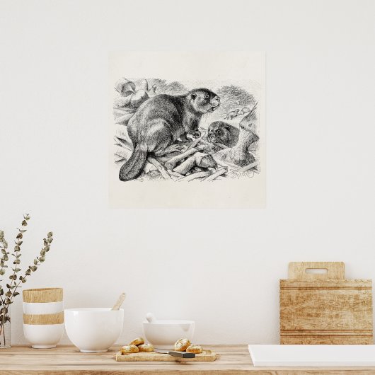 Beaver Illustration Retro Beavers and Dam Poster (Keuken)