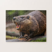 Beaver Jigsaw puzzels (Horizontaal)