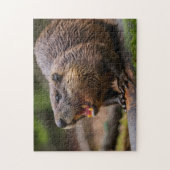Beaver Jigsaw puzzels (Verticaal)