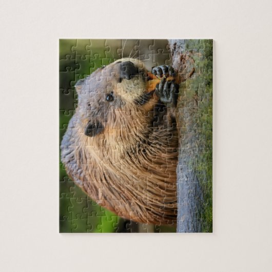 Beaver Jigsaw Puzzles Ai (Vertical)