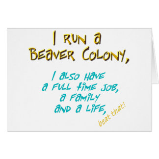 beaver leader turquoise