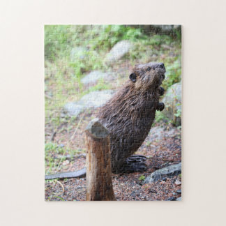 Beaver Legpuzzel