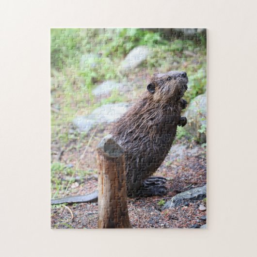 Beaver Legpuzzel (Verticaal)