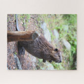 Beaver Legpuzzel (Horizontaal)