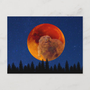 Beaver Moon in november Briefkaart
