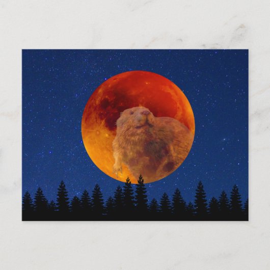 Beaver Moon in november Briefkaart (Voorkant)