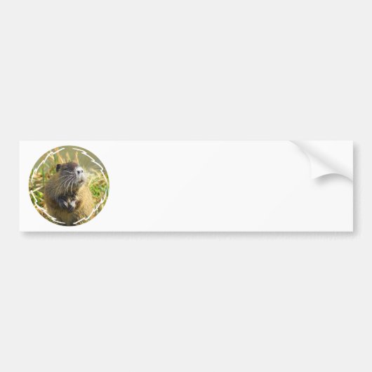 Beaver Photo Bumpersticker (Voorkant)