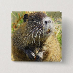 Beaver Photo Square Pin Vierkante Button 5,1 Cm