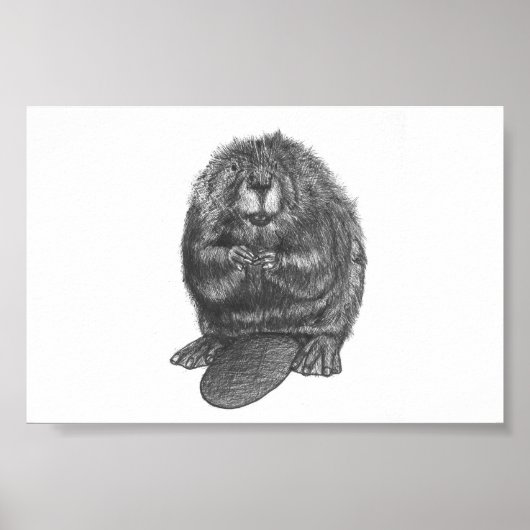 Beaver Poster (Voorkant)