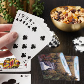 Beaver River Falls speelkaarten (Insitu)