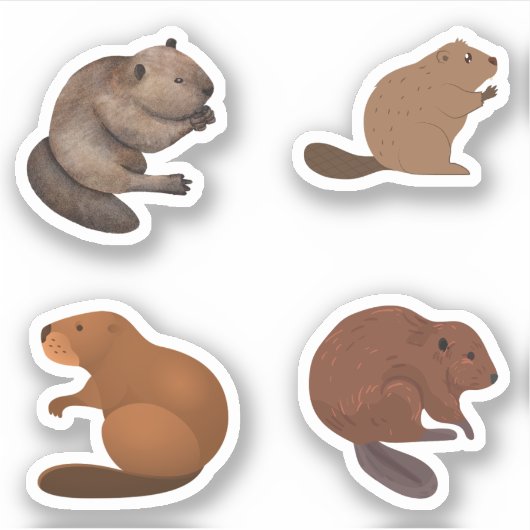 Beaver Stickers (Voorkant)
