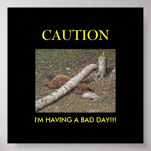 Beaver's Bad Day Poster (Voorkant)