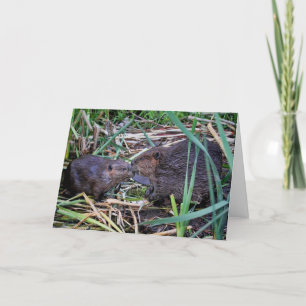 Beavers Kissfoto Kaart