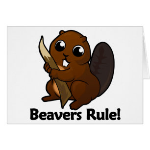 Beavers Rule!