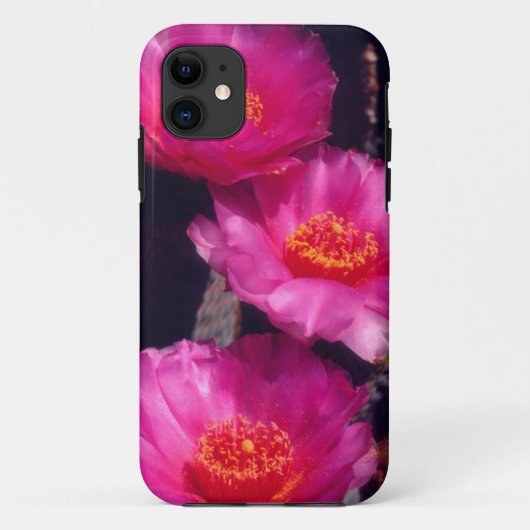 Beavertail Cactus Flowers 2 Case-Mate iPhone Case (Achterkant)