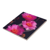 Beavertail Cactus Flowers 2 Tegeltje (Zijkant)