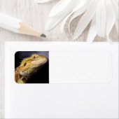 Bebaarde Dragon Head 2 Etiket (Insitu)