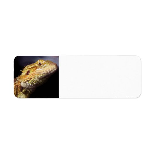 Bebaarde Dragon Head 2 Etiket (Voorkant)