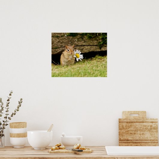 Bébé adorable Chipmunk avec Poster Daisy (Cuisine)