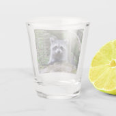 Bébé adorable Raccoon en verre de tir (Dos)
