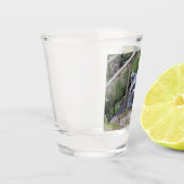 Bébé adorable Raccoon en verre de tir (Gauche)