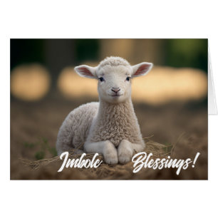 Bébé agneau Imbolc Bénédictions