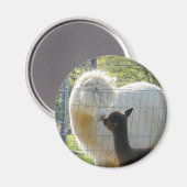 Bébé Alpaca Kiss Magnet (Recto/Verso)