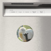 Bébé Alpaca Kiss Magnet (In Situ (Lave-vaisselle))