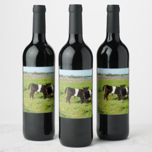 Bébé Belted Galloway Calves, Vins Étiquettes