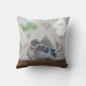 Bébé bleu Coussin Jay (Verso)