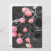 BÉBÉ BUD PHOTO BÉBÉ FILLE DOUCHE INVITATION (Dos)