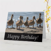 Bébé Canards Anniversaire Grande carte de voeux (Fleur jaune)
