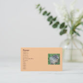 Bébé Carte de visite de marmotte/boisé (Debout devant)